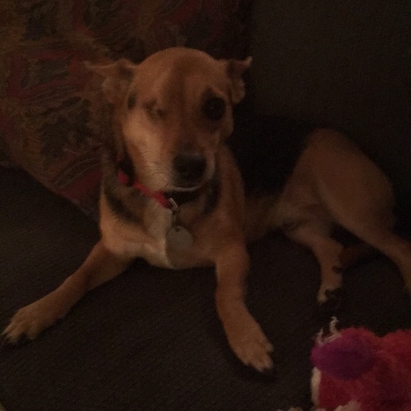 Meet your Posher, Jerianne - Picture 1 of 1